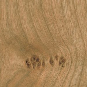 Cherry Veneer On Supa
